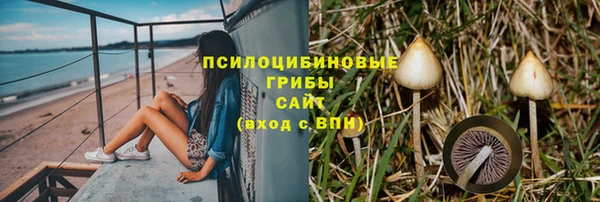 mdpv Бугульма