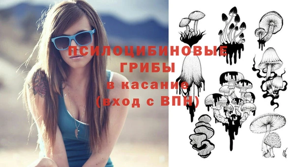 mdpv Бугульма
