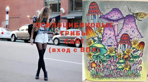 mix Бородино