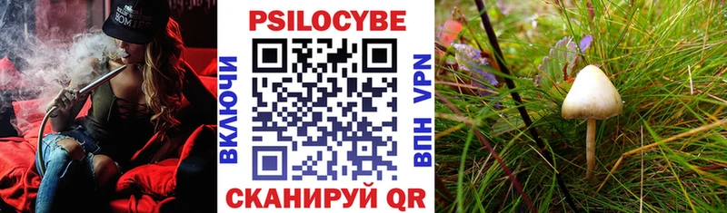 Галлюциногенные грибы мухоморы  даркнет сайт  Сосногорск 