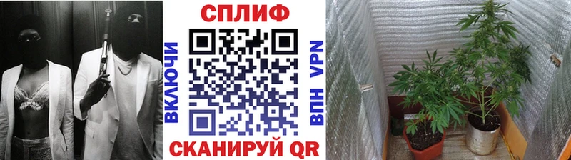 ссылка на мегу ТОР  Сосногорск  Конопля планчик 
